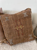 Brown Cactus Silk Cushion